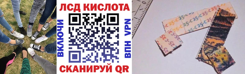 KRAKEN рабочий сайт Зверево Марки 25I-NBOMe 1500мкг